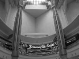 20120806 IMG 4329