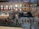 20120806 IMG 4340