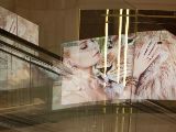 20120806 IMG 4342