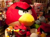 20120806 IMG 4351