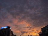 20120806 IMG 4378