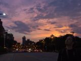 20120806 IMG 4383