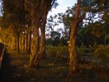 20120806 IMG 4393