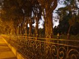 20120806 IMG 4397