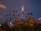 20120806 IMG 4409