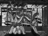 20120807 IMG 4456