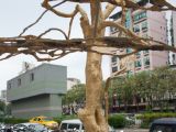 20120807 IMG 4477