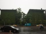 20120807 IMG 4482
