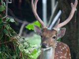 20120808 IMG 4509
