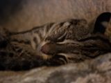 20120808 IMG 4519