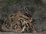 20120808 IMG 4525