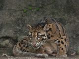 20120808 IMG 4529