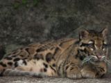 20120808 IMG 4532