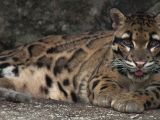 20120808 IMG 4539