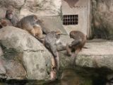 20120808 IMG 4561