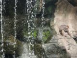 20120808 IMG 4564