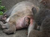 20120808 IMG 4568