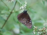20120808 IMG 4577