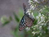 20120808 IMG 4585