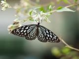 20120808 IMG 4605