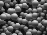 20120808 IMG 4614