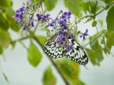 20120808 IMG 4625