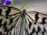 20120808 IMG 4636