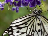 20120808 IMG 4640