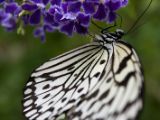 20120808 IMG 4641