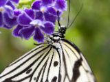 20120808 IMG 4642