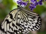20120808 IMG 4644