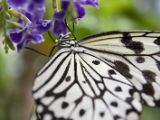 20120808 IMG 4649