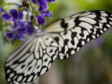 20120808 IMG 4650