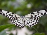 20120808 IMG 4651