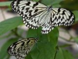 20120808 IMG 4657