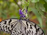 20120808 IMG 4661