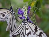 20120808 IMG 4664
