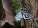 20120808 IMG 4672