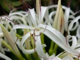 20120808 IMG 4688