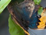 20120808 IMG 4689