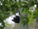 20120808 IMG 4703