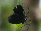 20120808 IMG 4711