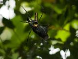 20120808 IMG 4712