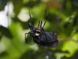 20120808 IMG 4714