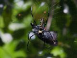 20120808 IMG 4717