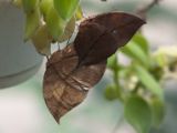 20120808 IMG 4725