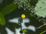20120808 IMG 4727