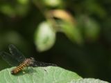 20120808 IMG 4732