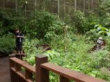 20120808 IMG 4736