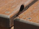 20120808 IMG 4748
